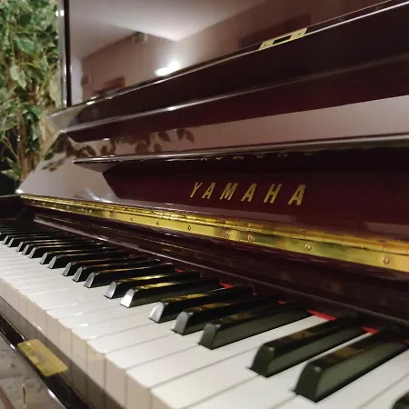 Audi Frontemare Otel