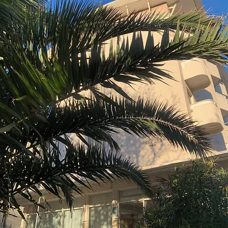 Audi Frontemare Rimini