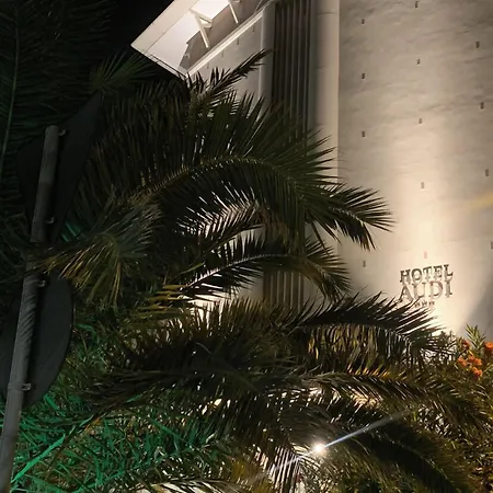 Audi Frontemare 3* Rimini