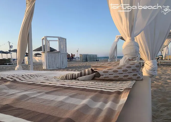 Audi Frontemare Hotel Rimini