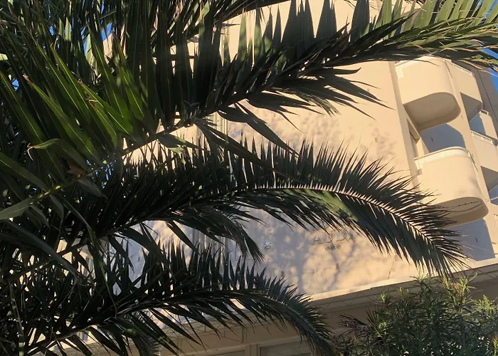 Audi Frontemare Rimini